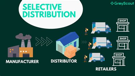 givenchy selecttive distribution network|givenchy market share.